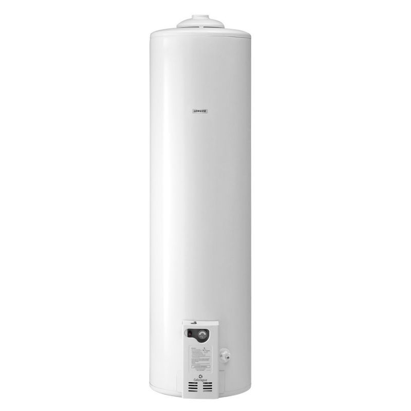 Termotanque 150Lts Longvie T3150/F Pie C/Superior